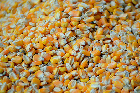 Whole Kernel Corn